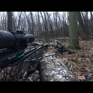 Meet your Posher, Frank